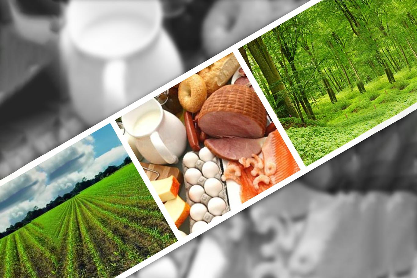 Gıda, tarım ve orman alanındaki düzenleme hakkında uzmanlar ne diyor?